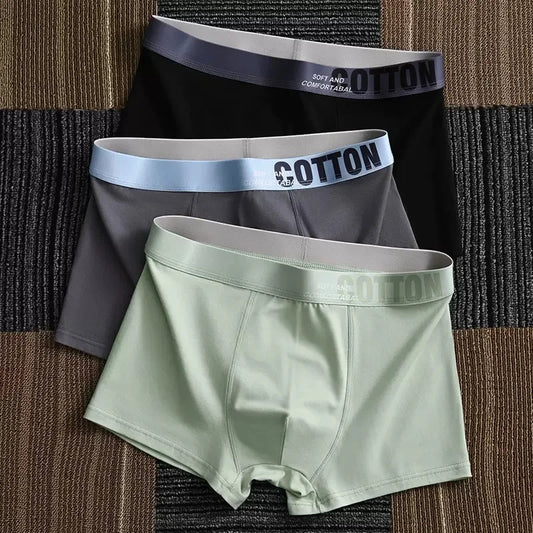 Men's Underwear