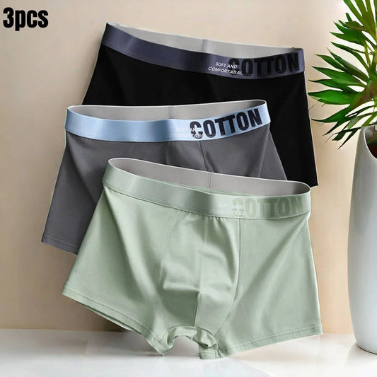 3pcs Men's Cotton Graphene Boxer Shorts
