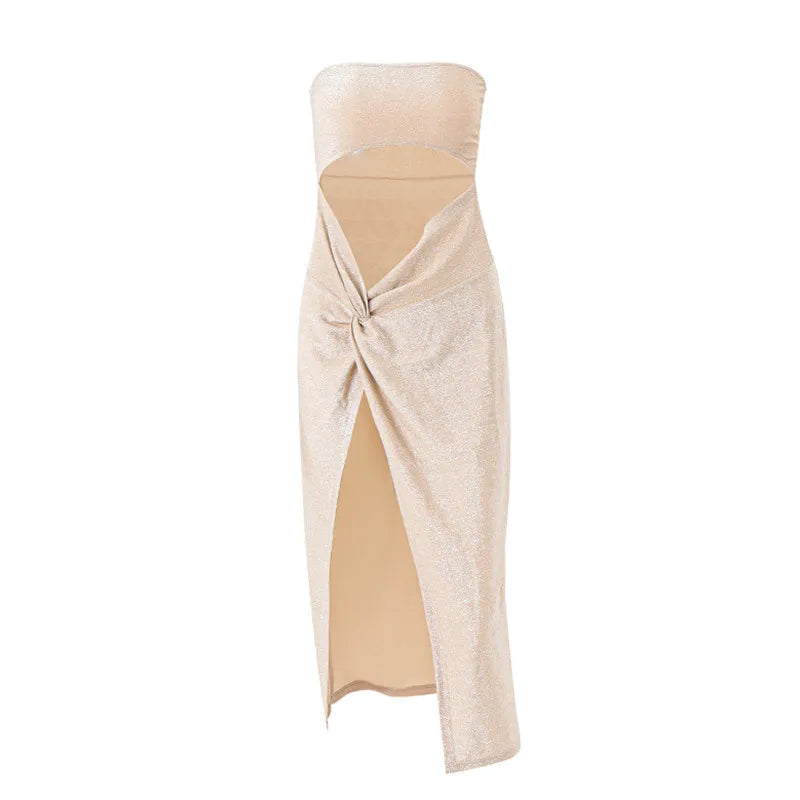 Women’s Fashionable Long Stylish Dress