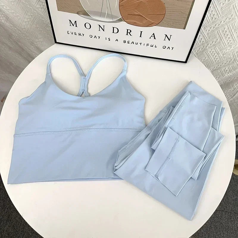 Elasticity High Waist 2 Piece Yoga Set